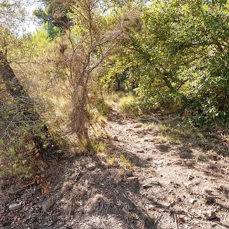 La Quiete Nel Bosco *