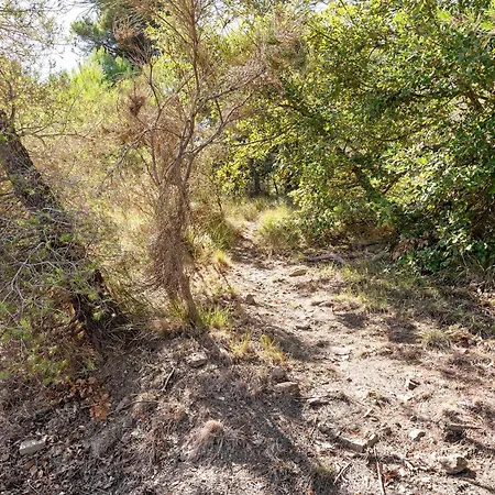 Daire La Quiete Nel Bosco