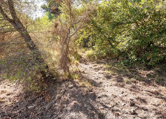 La Quiete Nel Bosco *